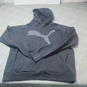 Puma Hooded Sweatshirt